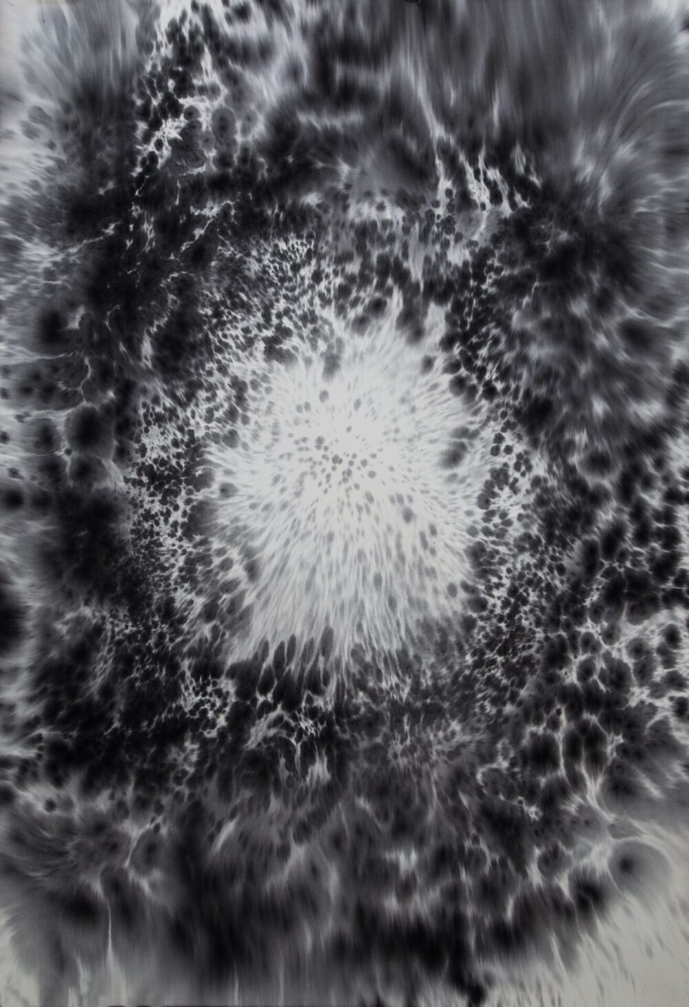 Morphic fields Cosmos I-VII, Julia Bornefeld